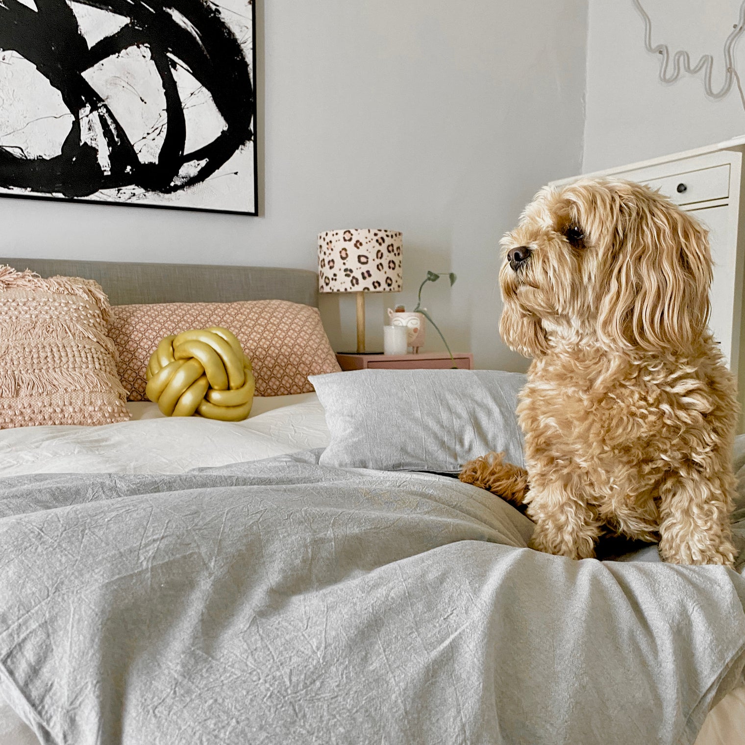 Sleeping with Your Dog: To Share or Not to Share the Bed?