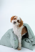 Load image into Gallery viewer, Doggie Doonie Bundle - Wagging Willow
