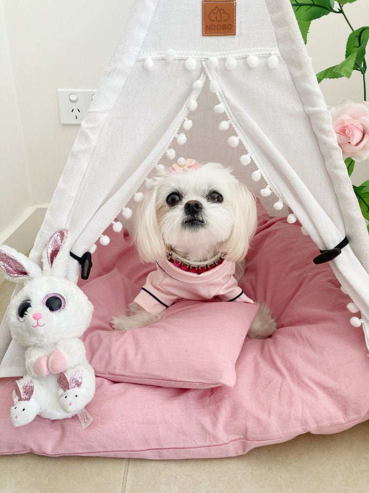 Doggie Doonie Bundle - Puppy Pink