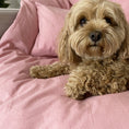 Load image into Gallery viewer, Doonie Cover Set - Puppy Pink
